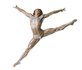 Li Cunxin Jete