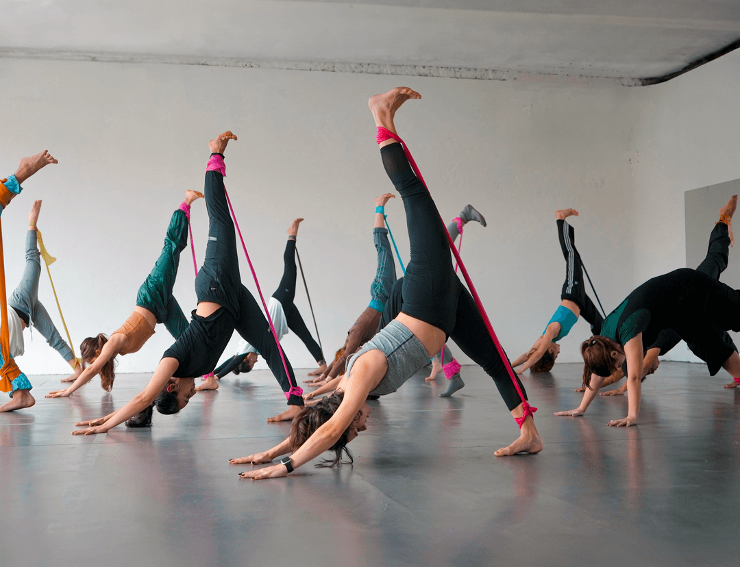 PBT certification workshops for teachers Progressing Ballet Technique