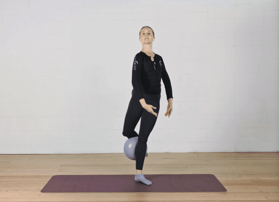 焦点课程 5：平衡与重量放置